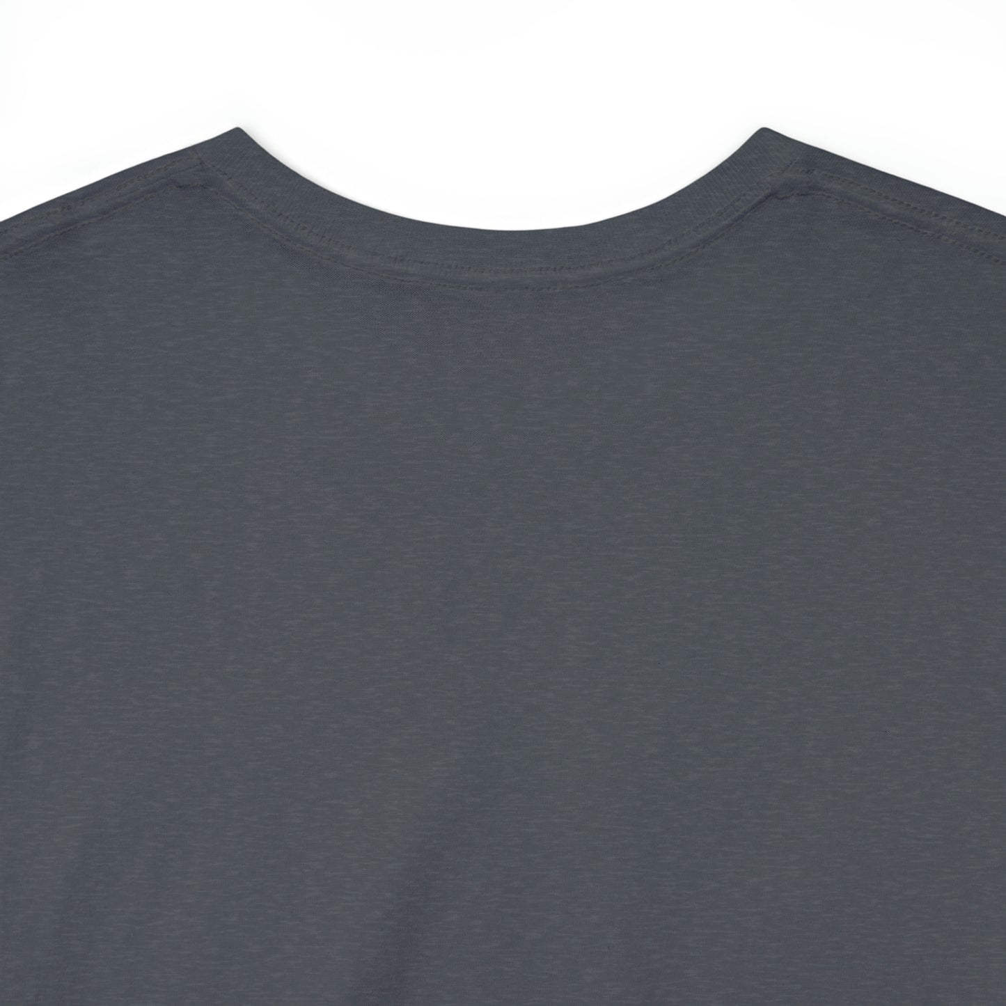 Its the Black History....Unisex Heavy Cotton Tee