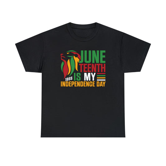 Independence DTF Print Unisex Heavy Cotton Tee