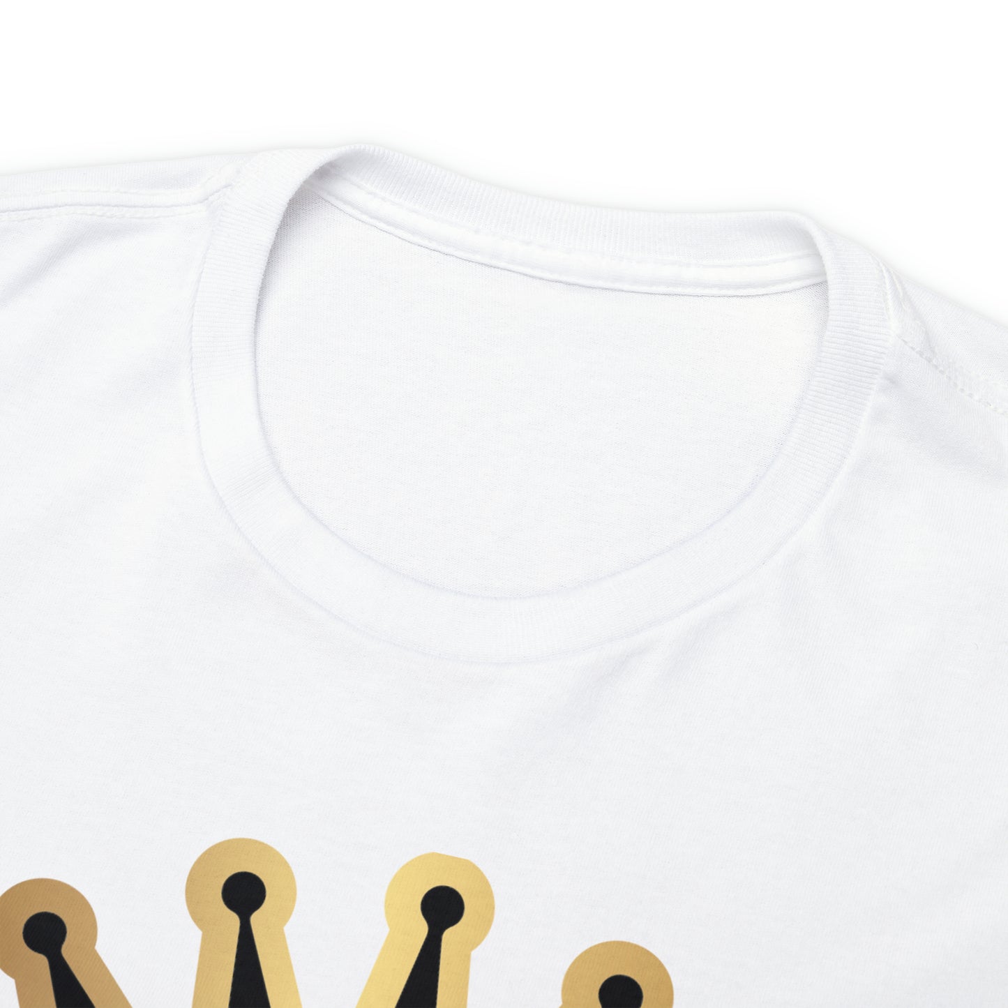 Aquarius DTF Print Unisex Heavy Cotton Tee